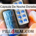 Cápsula De Noche Dorada 40